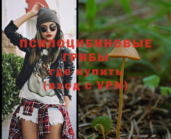 гашиш Абаза